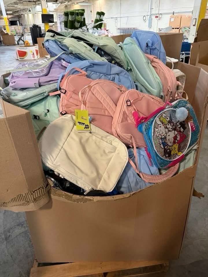 School Backpack