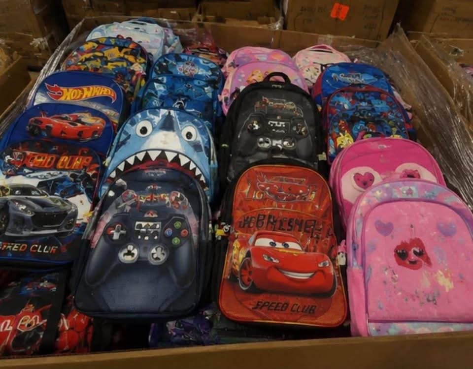 School Backpack